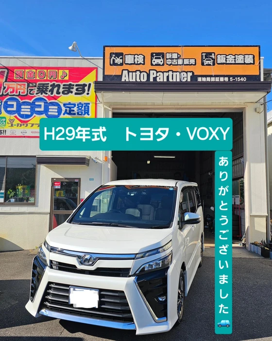 画像251